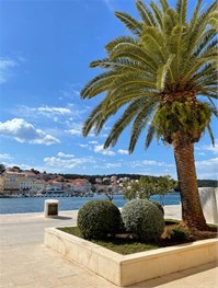 Island Lošinj Island Lošinj