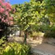 Island Lošinj - app Malin
