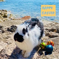 Happy Easter! Happy Easter!
