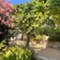 Island Lošinj - app Malin