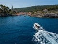 Dolphin watching Losinj