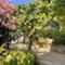 Island Lošinj - app Malin
