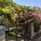 Island Lošinj - app Malin