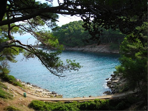 Island Losinj