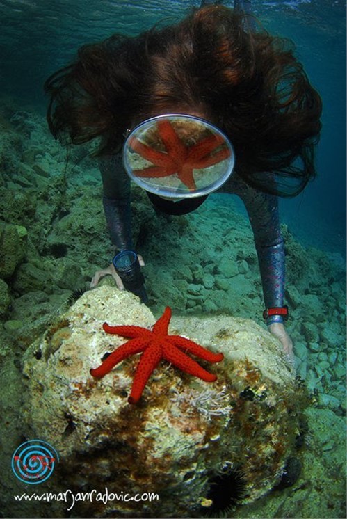 Island Losinj
http://www.island-losinj.com/