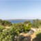 Island Lošinj - Villa Amorosa Island Lošinj - Villa Amorosa